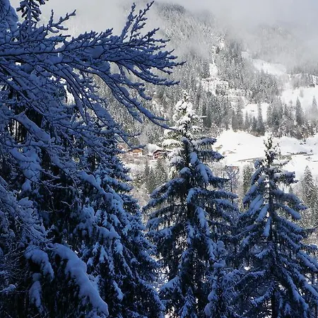 Alpenblick *