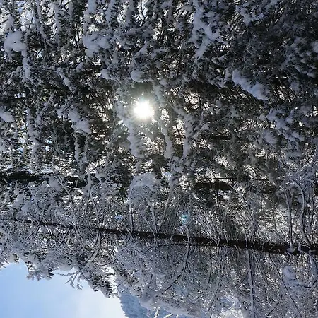 Alpenblick 아파트 핑켄베르그