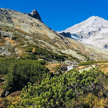 Alpenblick 아파트 *