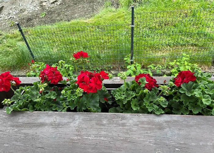 Alpenblick * Finkenberg