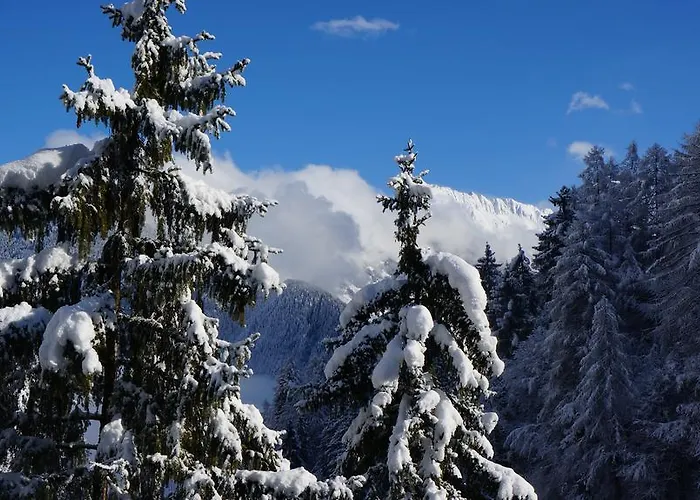 Apartment Alpenblick