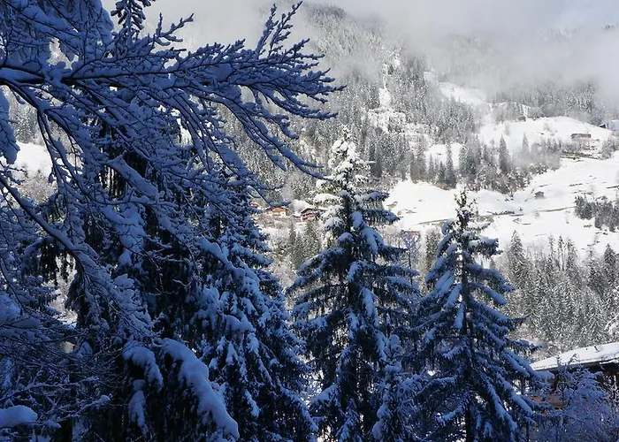 Alpenblick *