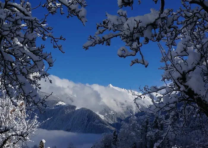 Alpenblick