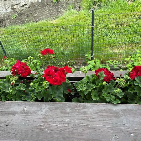 Alpenblick * Finkenberg