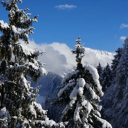 Lejlighed Alpenblick