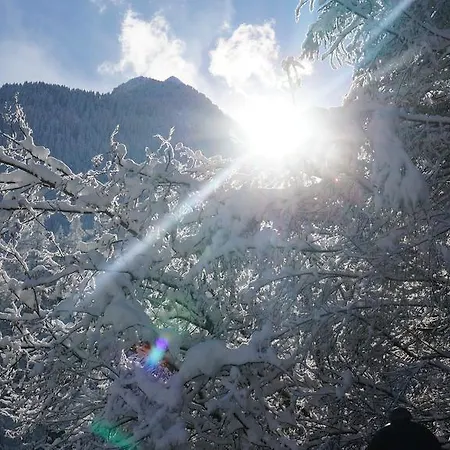 Lejlighed Alpenblick *