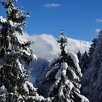 Διαμέρισμα Alpenblick